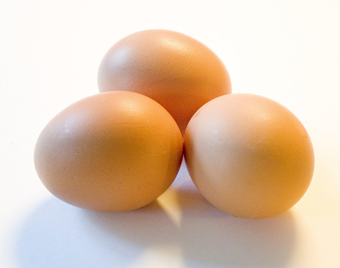 Fertile Broiler Eggs